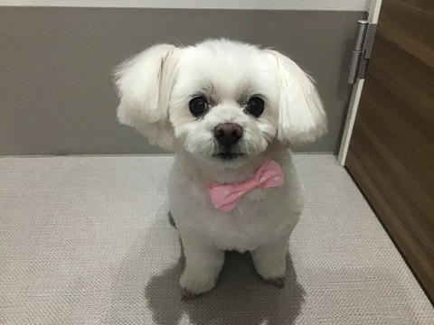 F10DB0E7-B439-4367-83B7-3045F133608C