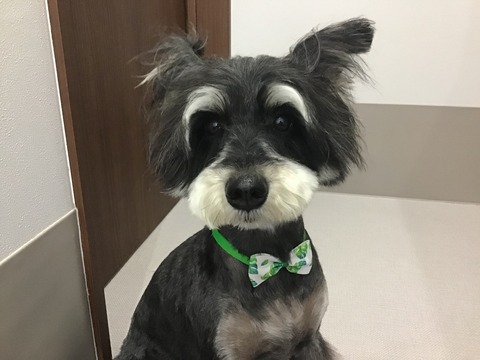 CEA4A819-5ADE-4674-8620-B5F1E0DC68D1