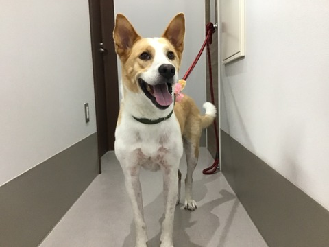 7239A80C-A1C9-4778-B3D7-B000F169781D