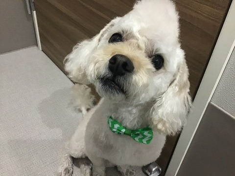 C06B2796-39E8-43A2-BA12-2444AA17E446