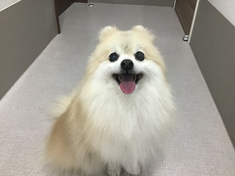 5E9EC8C0-B064-4F35-AB09-6E278545D3EE