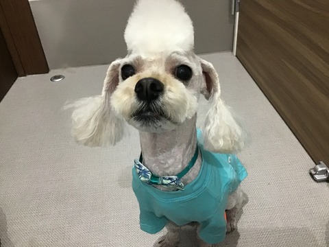 804A2C2B-A271-4EE8-ACED-FB36A89CBEC6