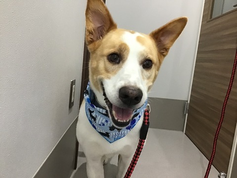 F7A038E4-E988-46B7-ACFD-4268044D1967