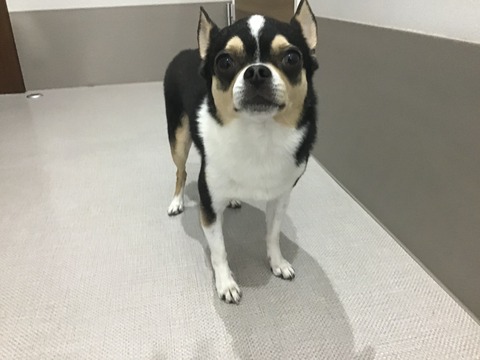 7FEA2BD6-E5E9-41E6-8ED3-8FB032434241