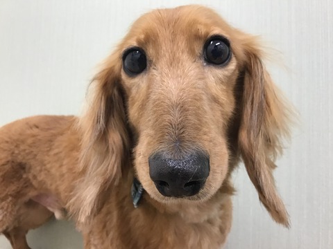 43053E85-891F-4B9C-8784-4ECC92BDA689