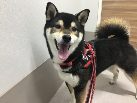 15DB4E41-AFA2-4F19-A91D-059272CF64F9