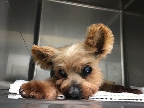 5052890D-B1DA-4DD4-9D52-E1D219A0ACD0