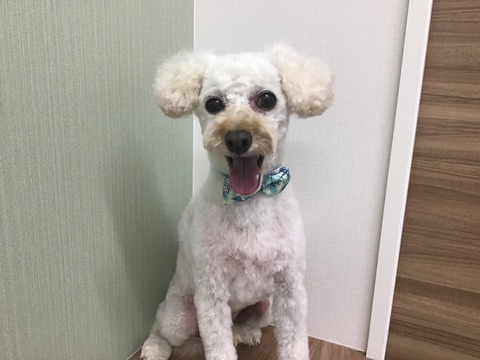 170F29E1-16DD-44A1-99D5-B9796D006675