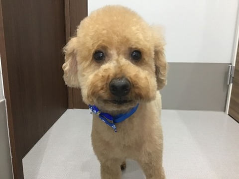 FD63638B-C347-4B55-A6D6-2CD032F0C283