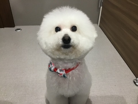 B68509F6-57FF-463B-B5E5-F9F98A26F79C