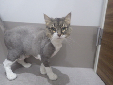 RIMG5696