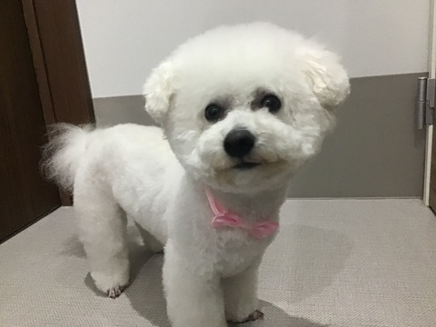 47AD2EA3-8EE4-4456-97C7-73AC7C70A384