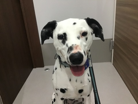 B70BEFCE-6A8C-4865-BA3F-60EB6BEE2297