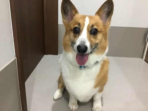 B4E28AB0-C4B6-4115-A231-4FA9C7F2CCE8