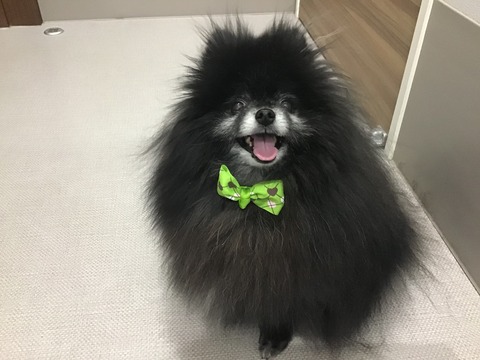 BAE451B6-6068-44C2-957A-7BBECBA03004