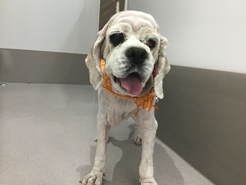 CD0730A0-0F7E-4982-82D5-5235A192595A