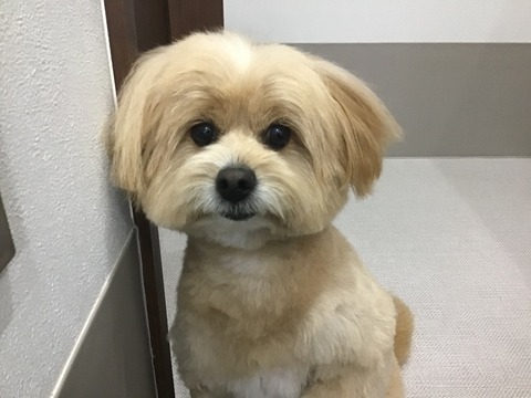 0597A7C1-4AF7-46B6-954D-144A7D275AC9