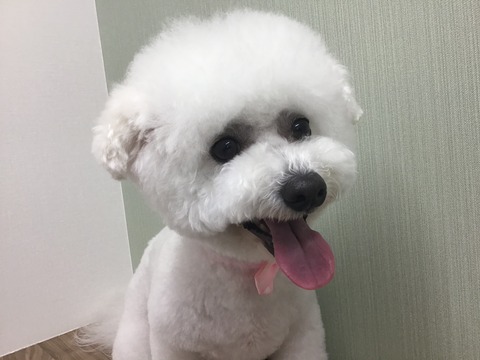 655DAE71-3849-4FAB-A40A-C2FB54C87F5F