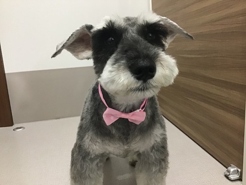 BB6DB3E2-157B-4E18-A520-53DC667058CB