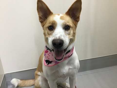 1E9103FA-5450-4CD2-93A7-82C8398E41F4