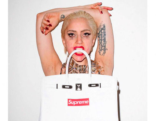 限定 Terry Richardson Lady Gaga 写真 SUPREME