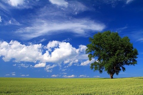 18684c86d45f577ee158d2a2949e523a