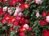 DSC01292
