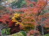 DSC00364