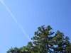 P9290127