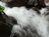DSC00804