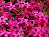DSC00135