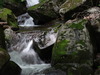 DSC00795