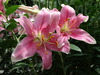 DSC00264