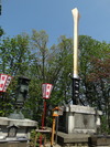 DSC00555