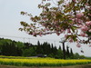 DSC00166