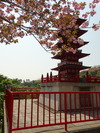 DSC00570