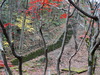 DSC00381