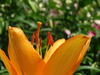 DSC00256