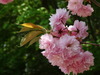 DSC00627