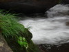 DSC00800