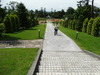 DSC00236