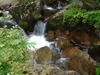 DSC00778