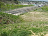 DSC00643