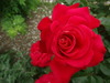 DSC01219