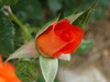 DSC01246