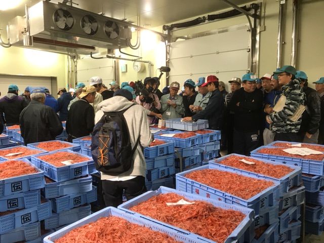 静岡市清水区由比 倉沢屋 桜えび料理 由比で桜えび料理といえば くらさわや です 桜えびのかき揚げと桜えびの釜飯の通信販売もやってます