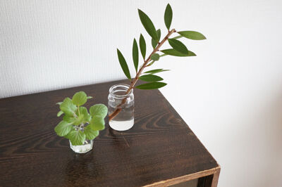 切り花がしおれて枯れた後もすぐに捨てないで 暮らしとわたし 50代からシンプルライフ 切り花がしおれて枯れた後もすぐに捨てないで 暮らしとわたし 50代からシンプルライフ