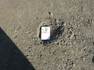 鎮目物