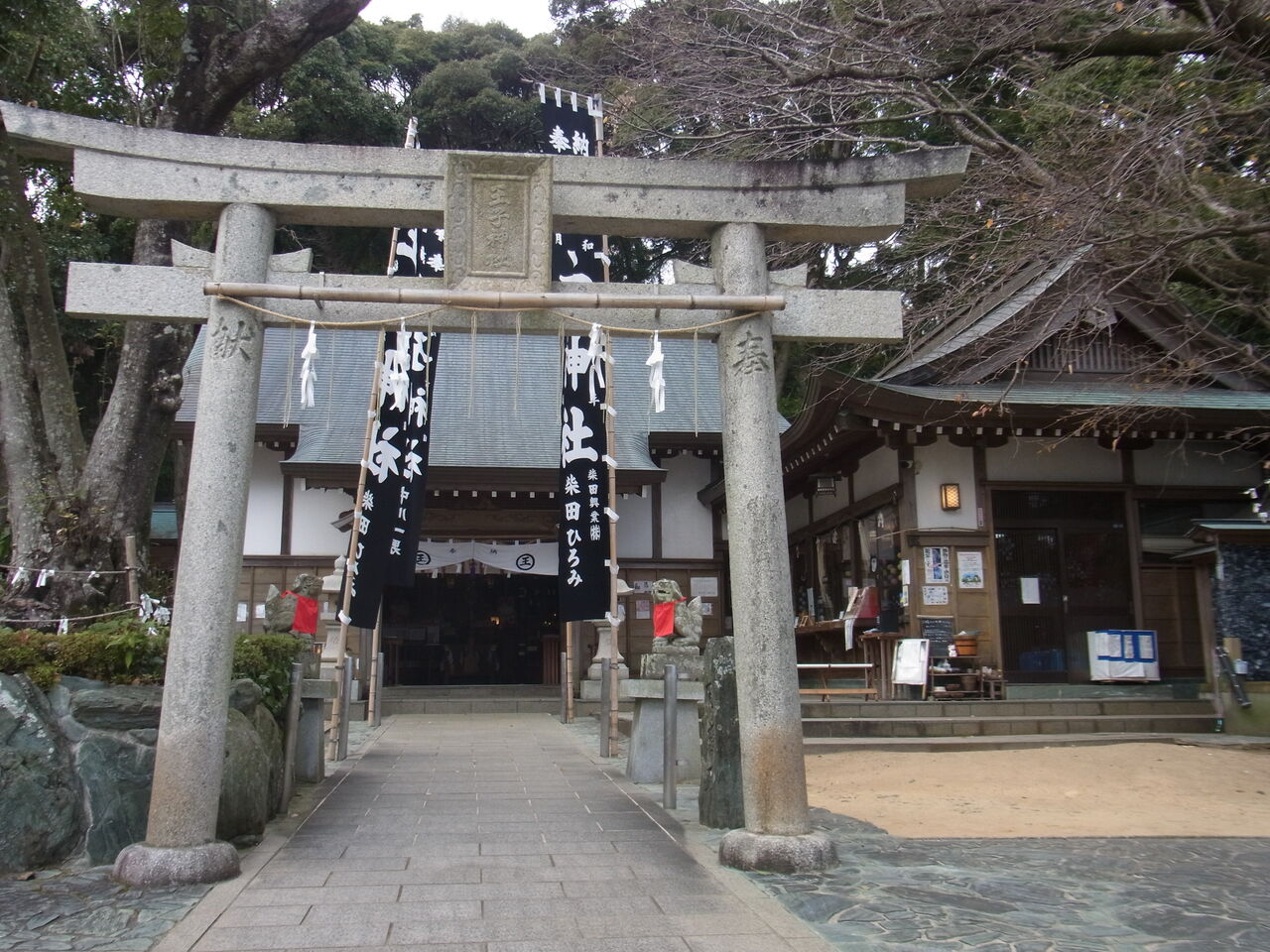 王子神社 徳島ラーメンと猫と野球