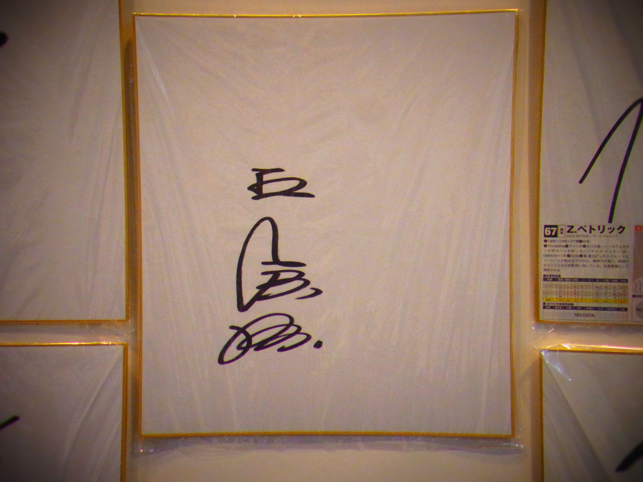 プロ野球選手サイン博物館 その５ 徳島ラーメンと猫と野球